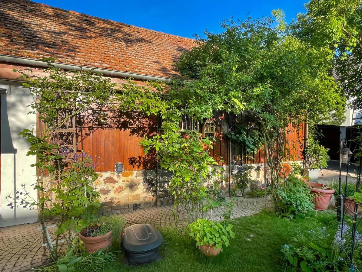 Ferienhaus Burgblick Munzenberg Luaran gambar