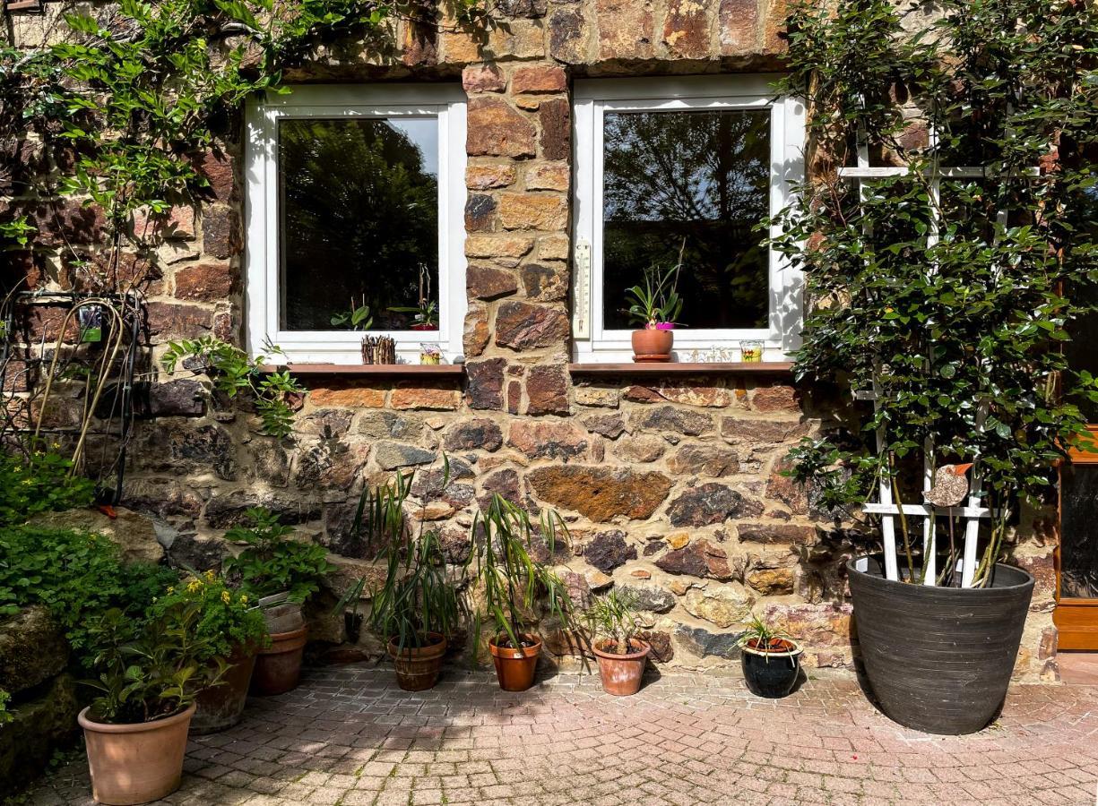 Ferienhaus Burgblick Munzenberg Luaran gambar