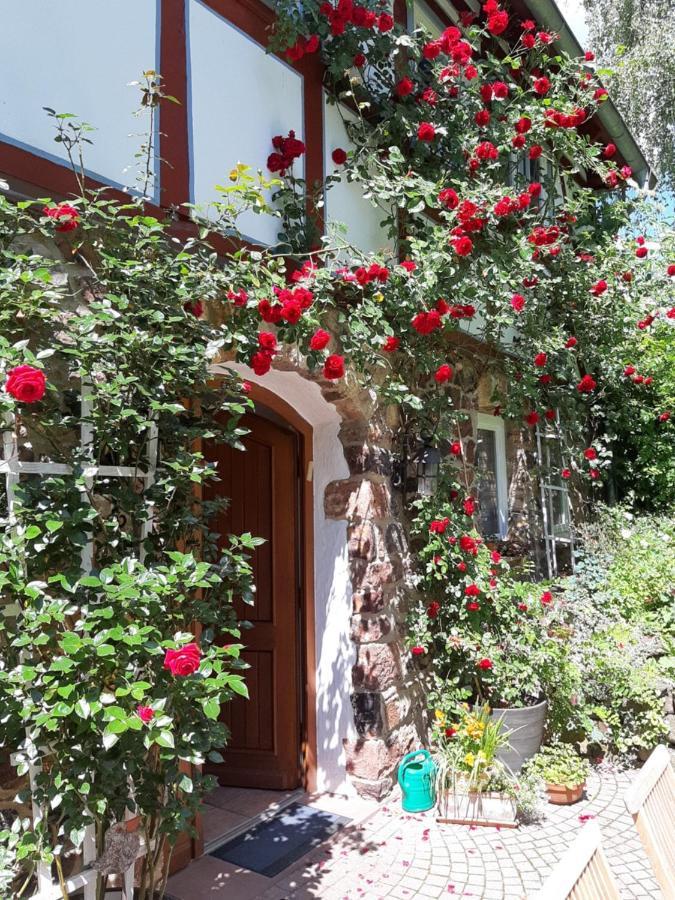 Ferienhaus Burgblick Munzenberg Luaran gambar